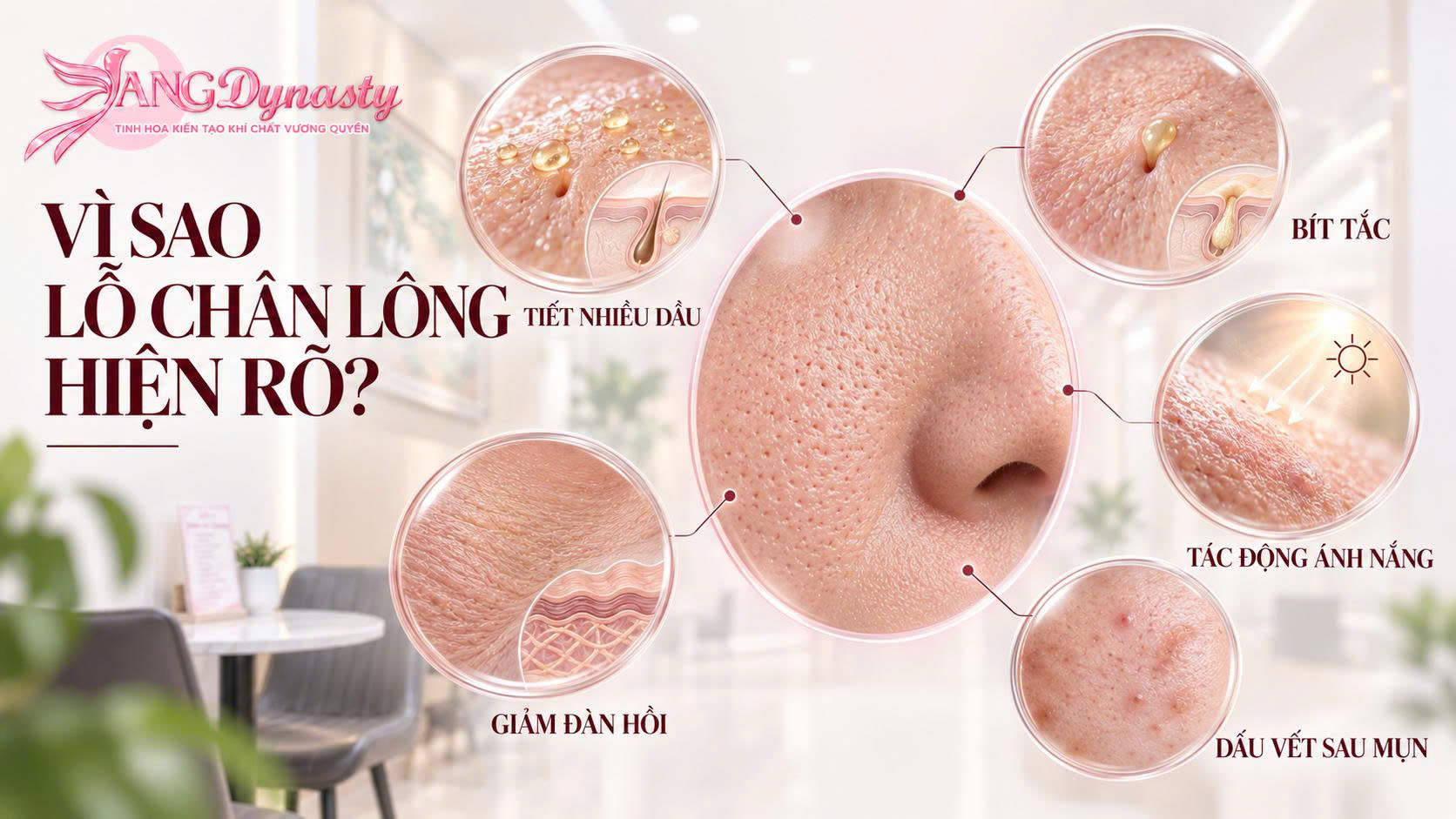 Thu Nhỏ Lỗ Chân Lông Thu Nhỏ Lỗ Chân Lông
