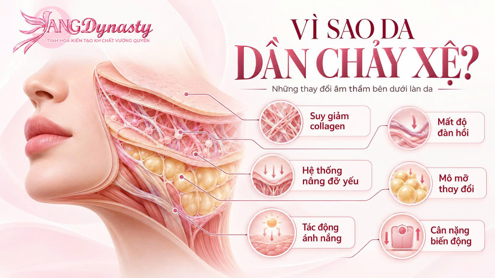 Cải Thiện Da Chảy Xệ Cải Thiện Da Chảy Xệ