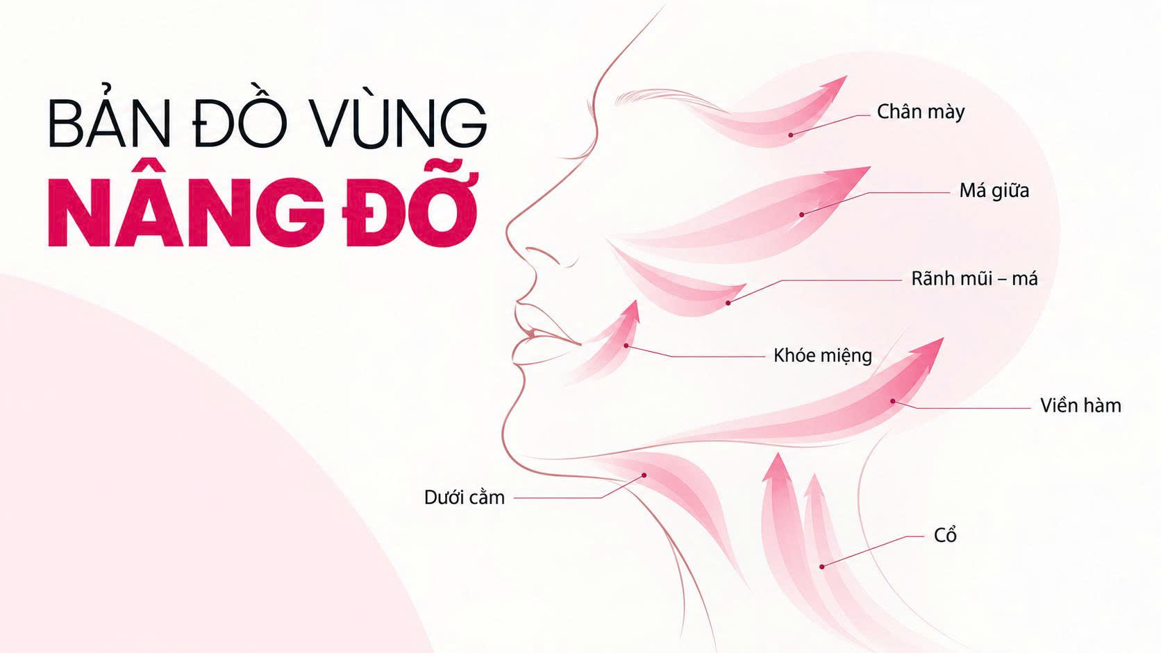 Nâng cơ mặt Nâng cơ mặt