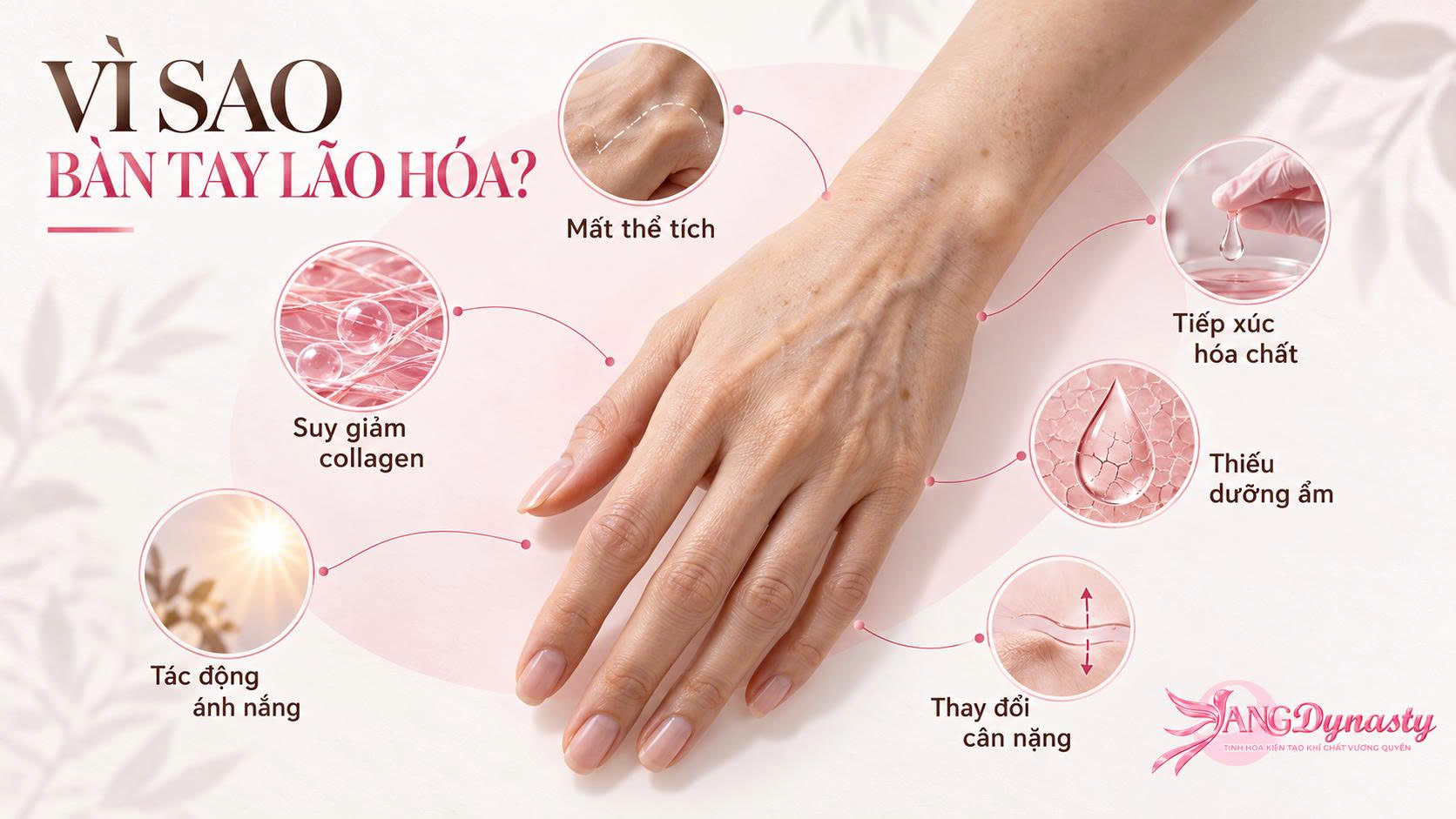 Trẻ Hoá Bàn Tay Trẻ Hoá Bàn Tay