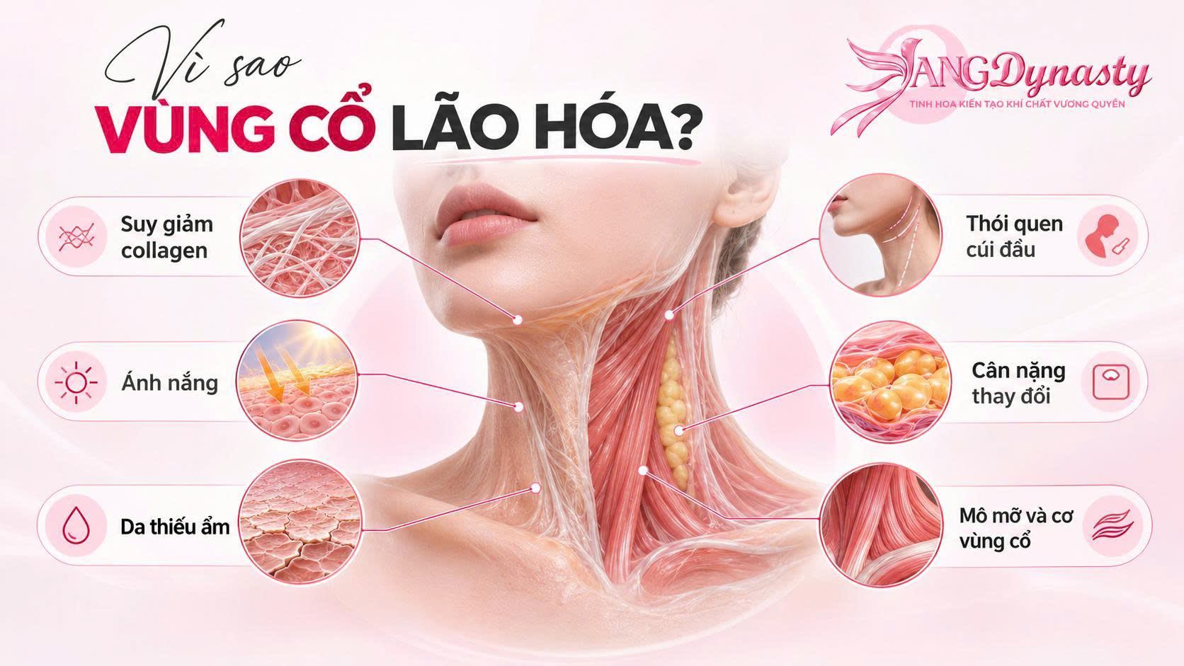 Trẻ Hoá Vùng Cổ Trẻ Hoá Vùng Cổ